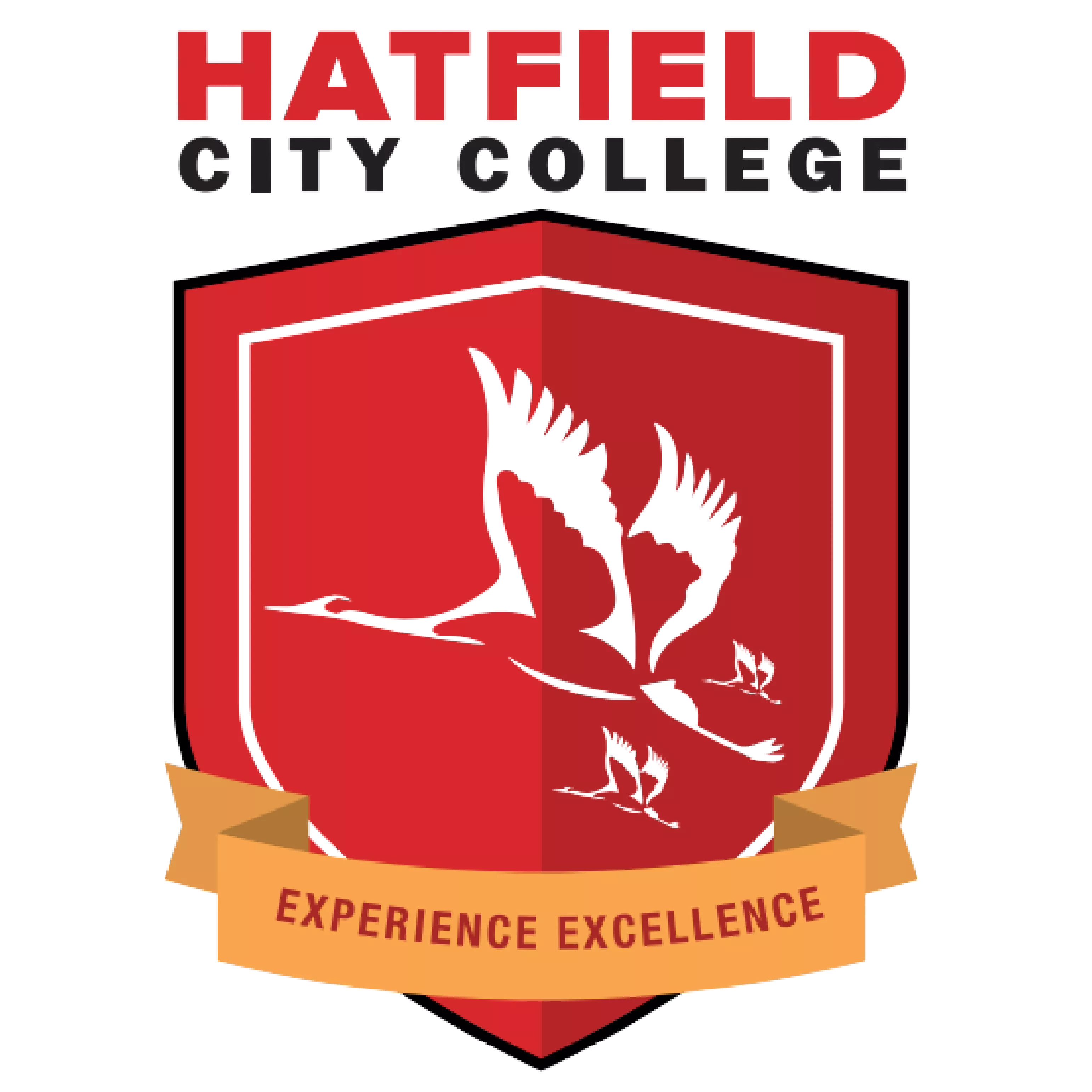 Hatfield City College